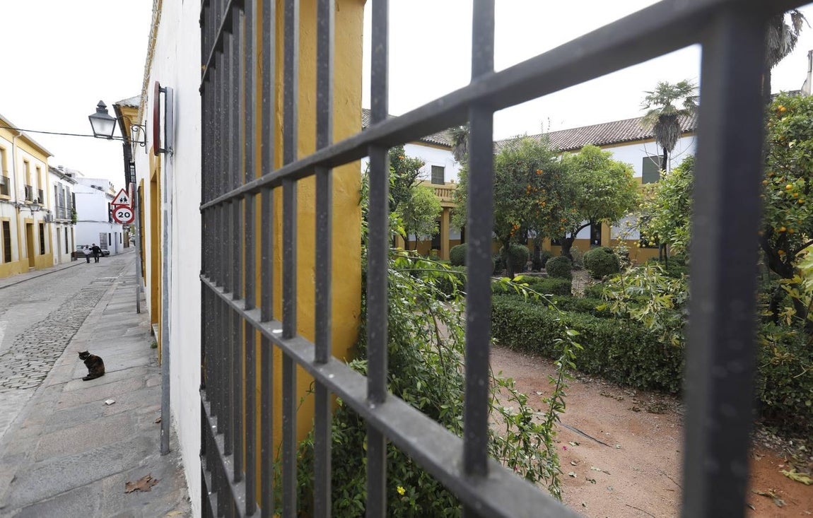 La calle Muñices de Córdoba, en imágenes