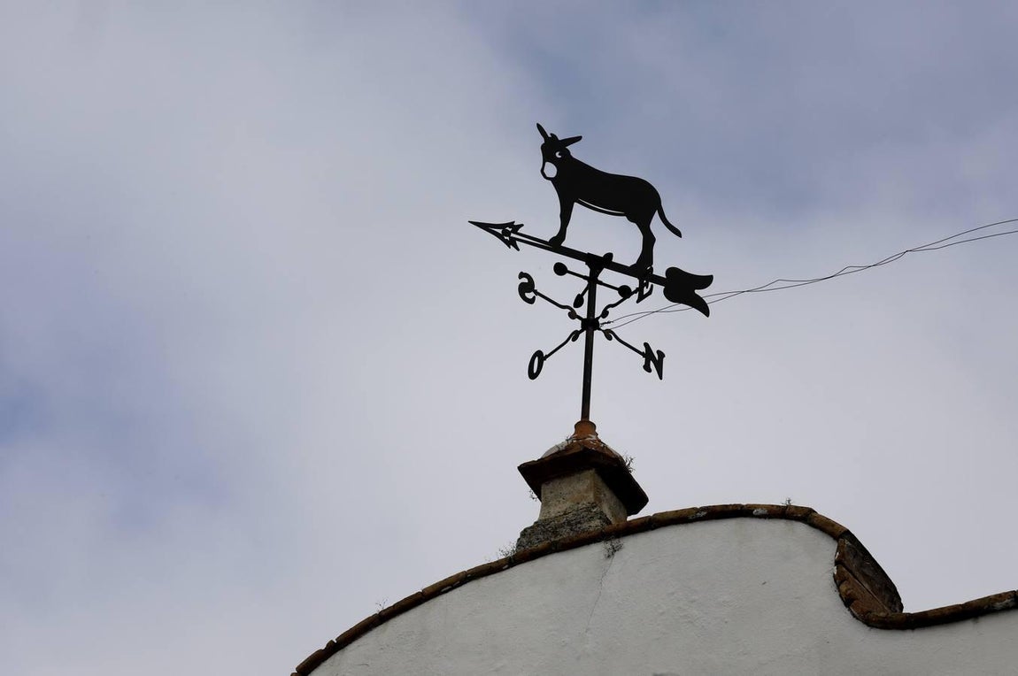 La calle Muñices de Córdoba, en imágenes