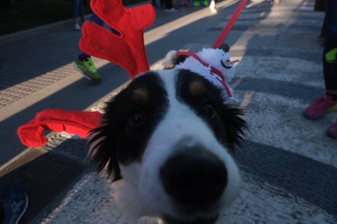 FOTOS: Búscate en la III San Silvestre de Cádiz 2019