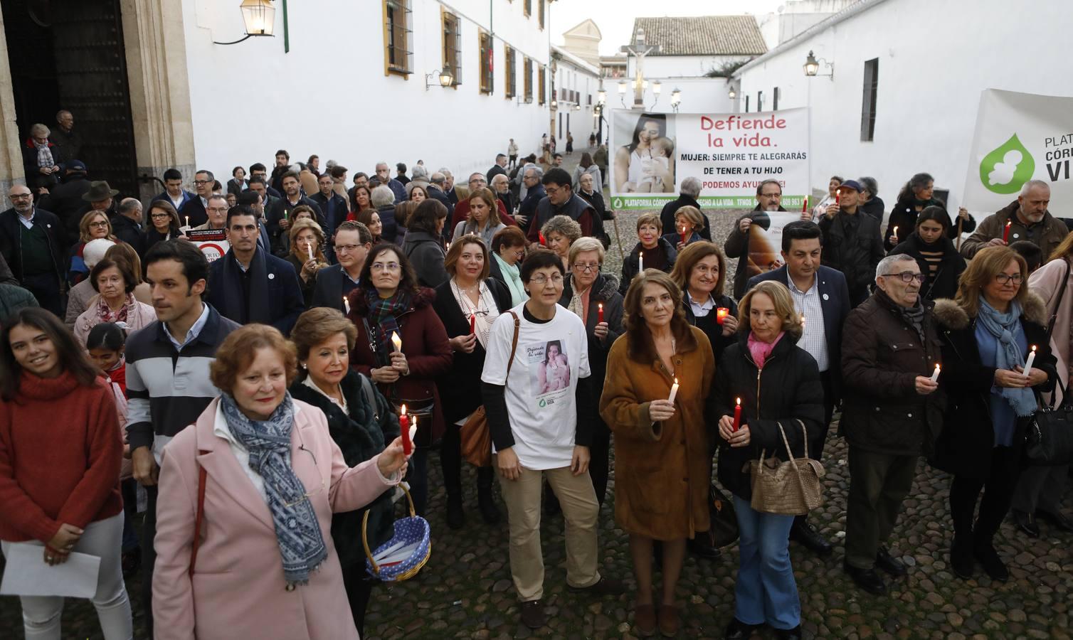 La concentración por la vida en Córdoba, en imágenes