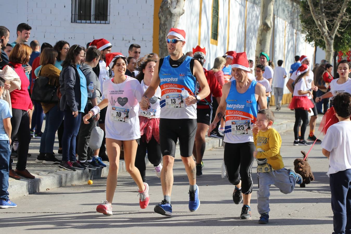 La San Silvestre de Lucena, en imágenes