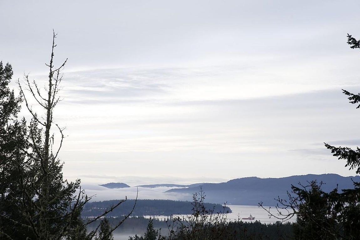 Navidad de lujo en Canadá. El nombre del oligarca ruso propietario de la villa no a trascendido para salvaguardar su propia intimidad, así como la de los duques de Sussex. Se sabe que la vivienda se encuentra cerca de la capital, Victoria. Una ciudad acogedora en la que disfrutar y pasear con el pequeño Archie. Aunque las dos playas privadas y el bosque de coníferas con los que cuenta la propiedad sería suficiente para muchos