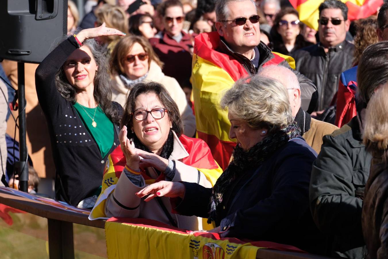 La concentración de VOX en Córdoba, en imágenes