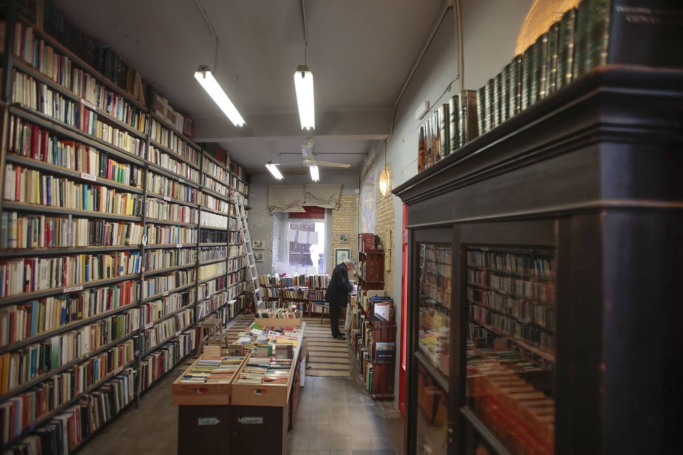 Las librerías más singulares de Sevilla, en imágenes