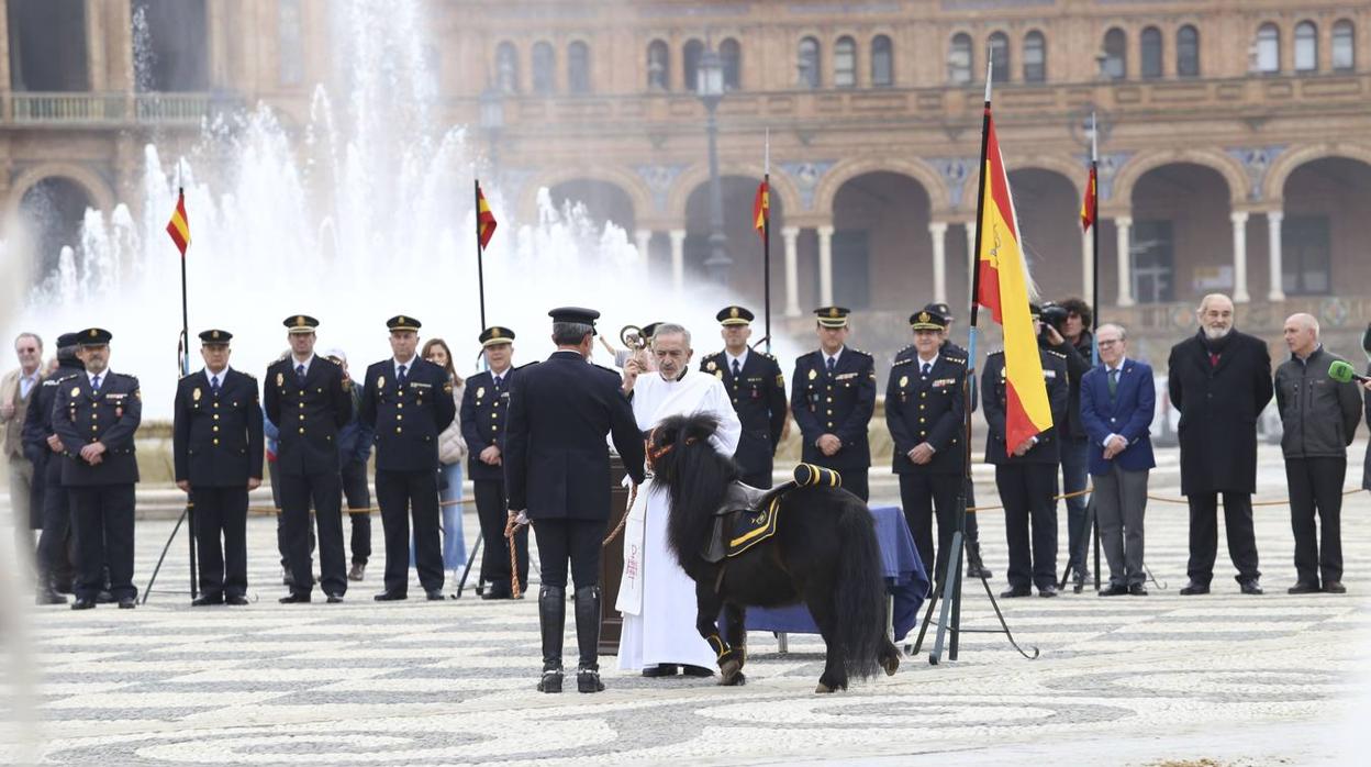 En imágenes, la bendición de San Antón para los caballos de la Policía Nacional