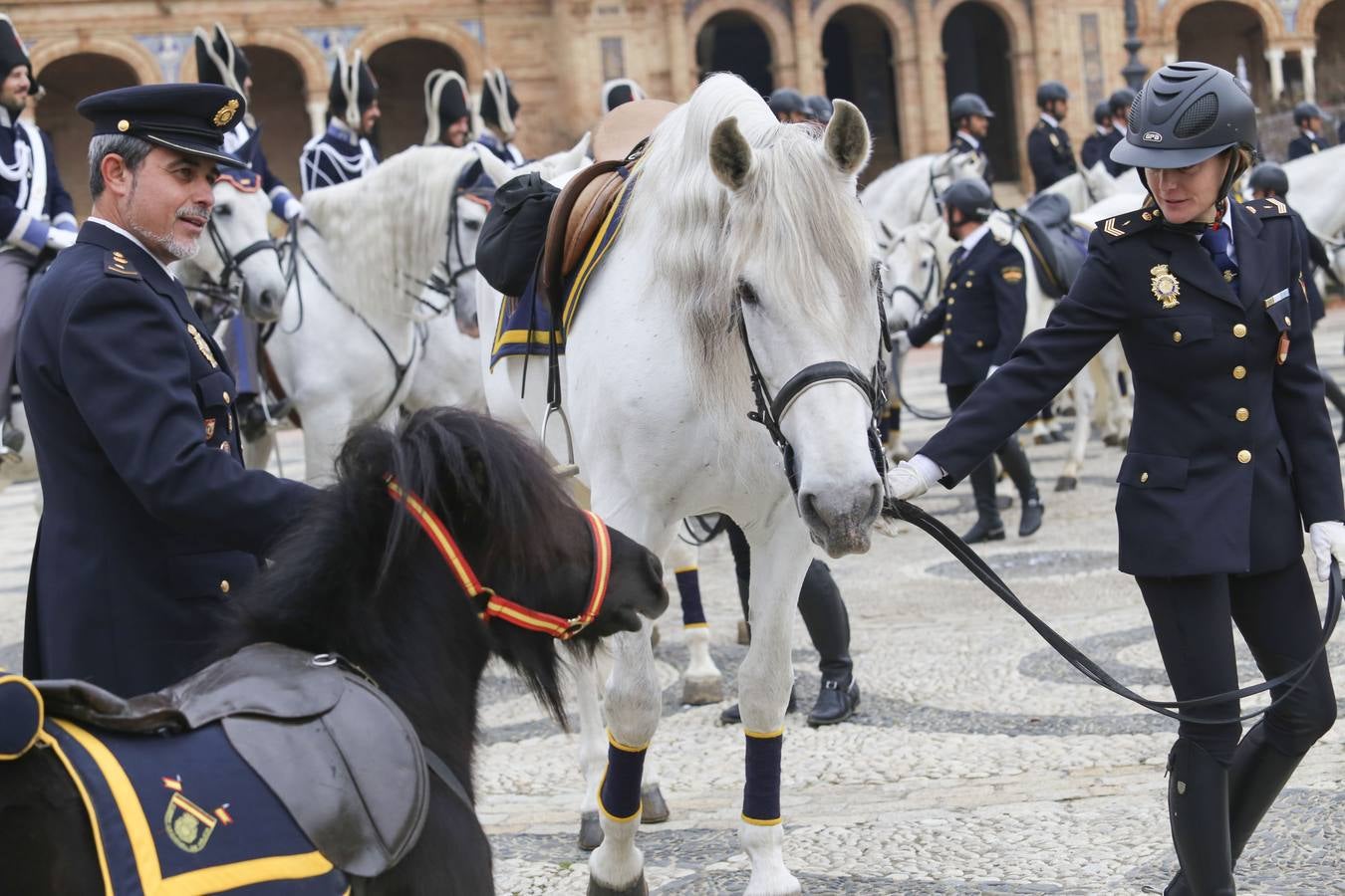 En imágenes, la bendición de San Antón para los caballos de la Policía Nacional