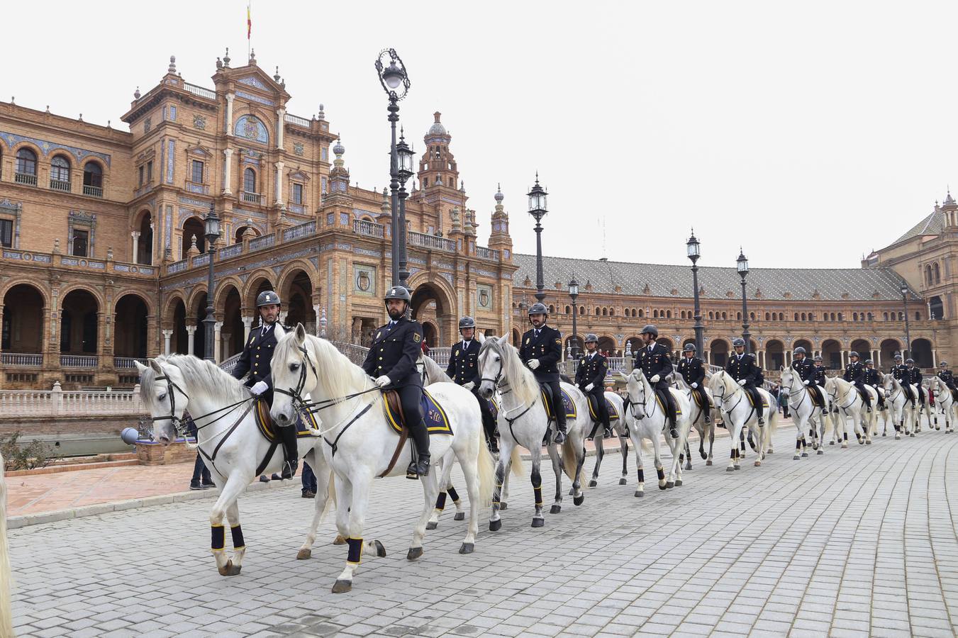 En imágenes, la bendición de San Antón para los caballos de la Policía Nacional