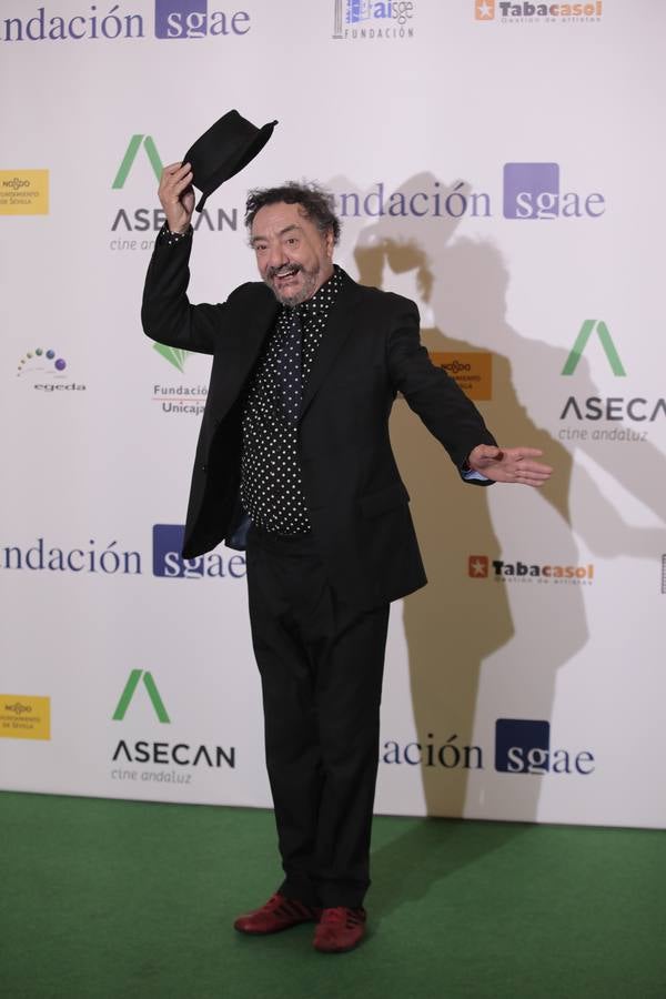 La pasarela de la fiesta del cine andaluz, en imágenes