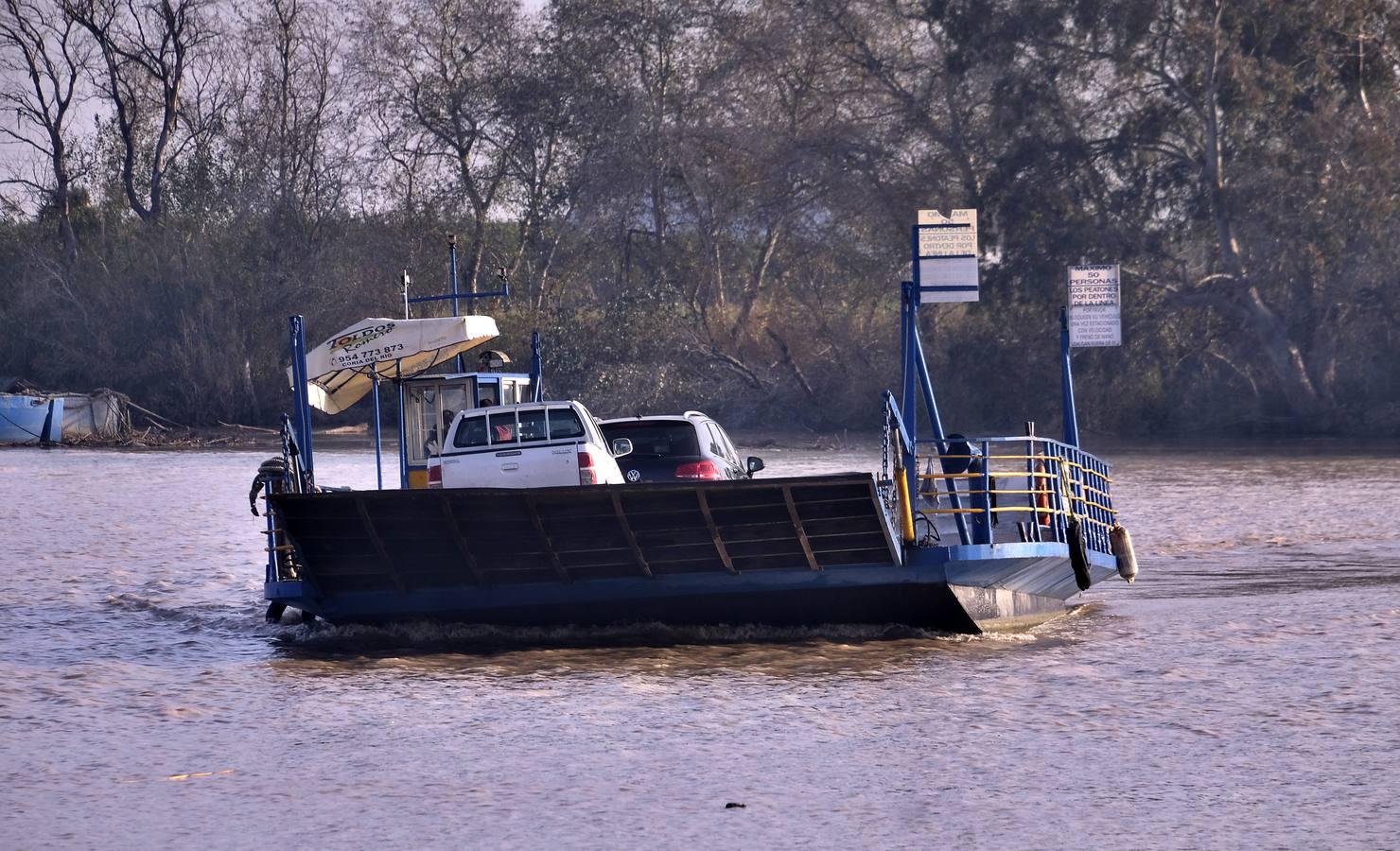 Cruzando el Guadalquivir en la barcaza de Coria