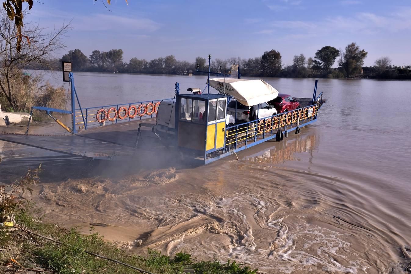 Cruzando el Guadalquivir en la barcaza de Coria