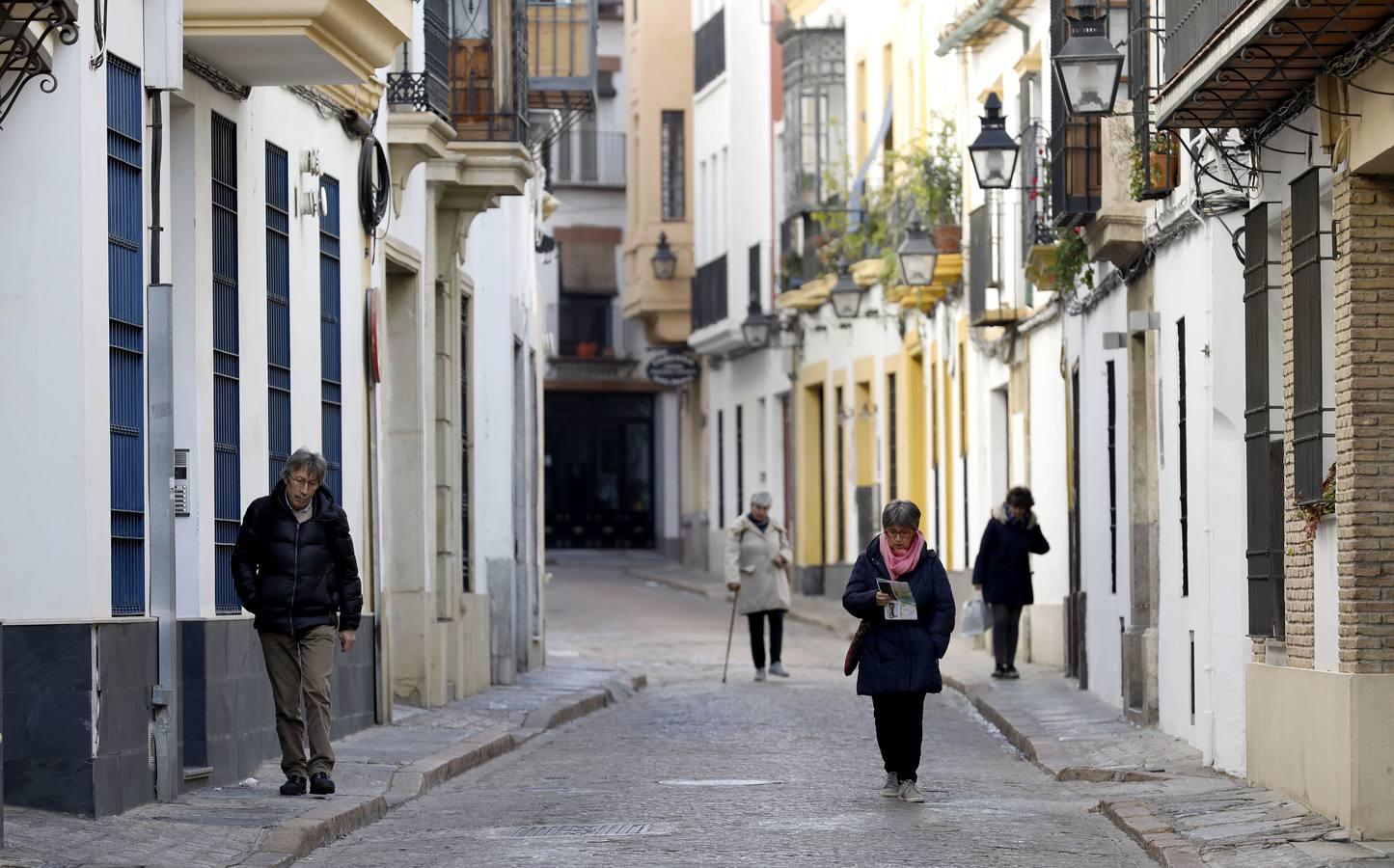 La calle Fernando Colón de Córdoba, en imágenes