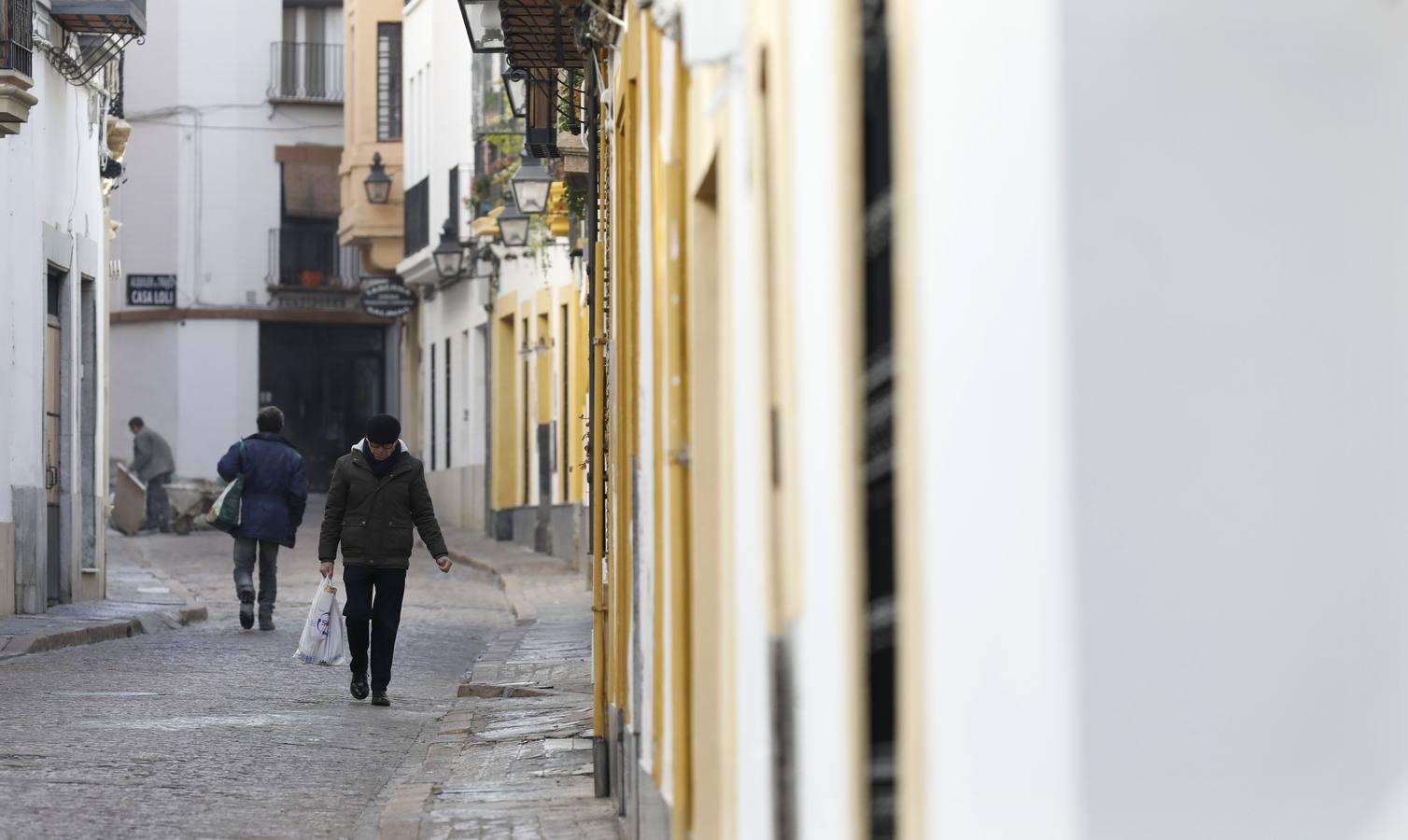 La calle Fernando Colón de Córdoba, en imágenes