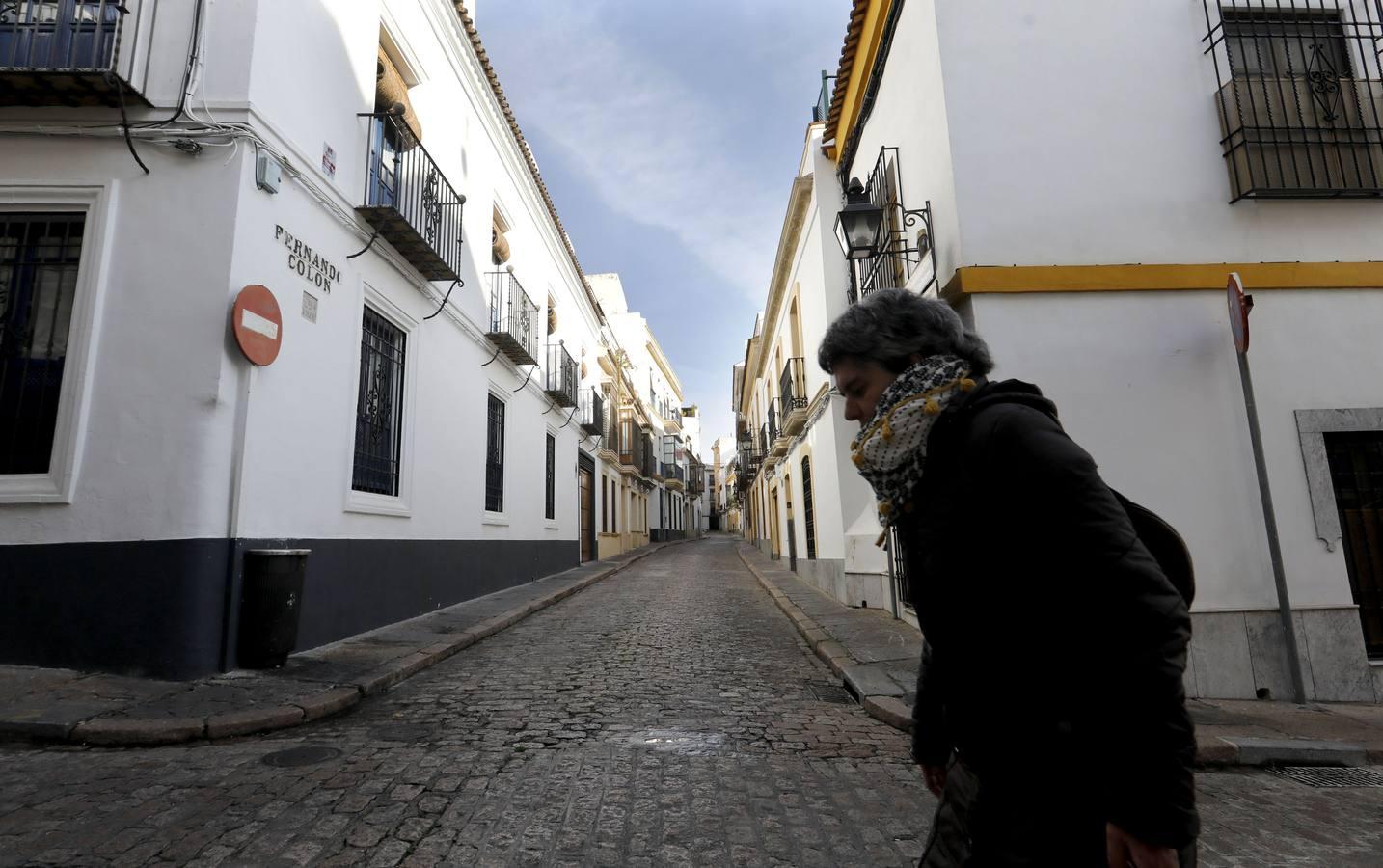 La calle Fernando Colón de Córdoba, en imágenes