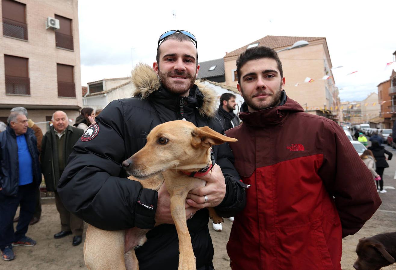 En imágenes: las mascotas de Toledo se rinden a San Antón