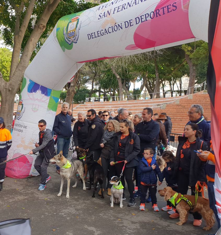 Las mascotas de San Fernando disfrutan paseando en la I marcha Solidaria de San Antón