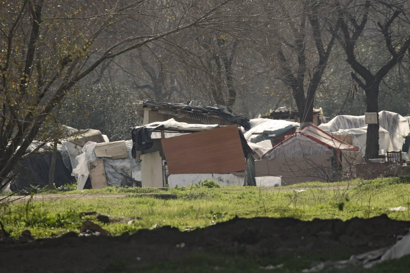 En imágenes: vivir debajo de un puente