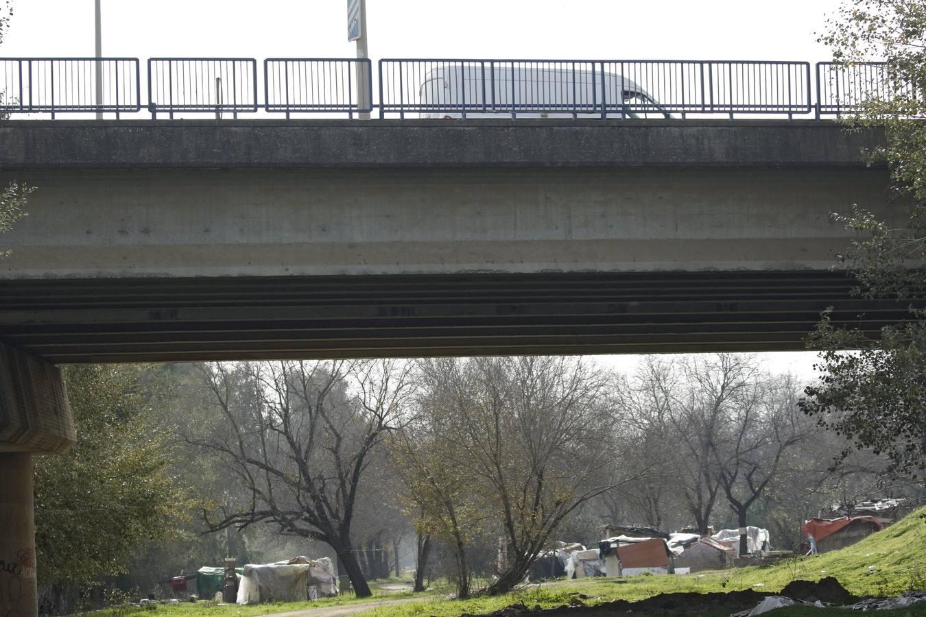 En imágenes: vivir debajo de un puente