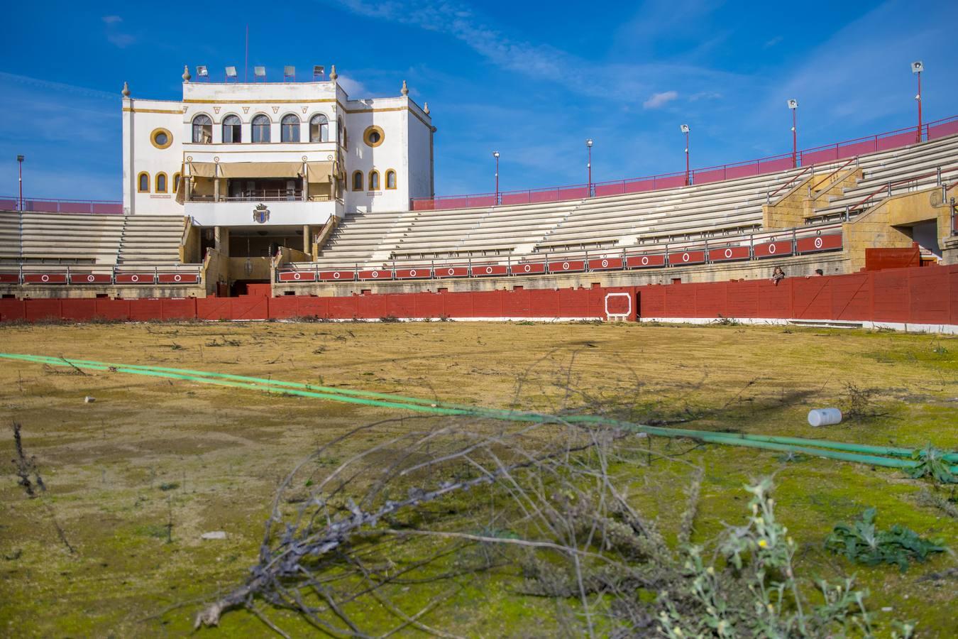 En imágenes, el expolio y el vandalismo arruinan la plaza de toros de Espartinas