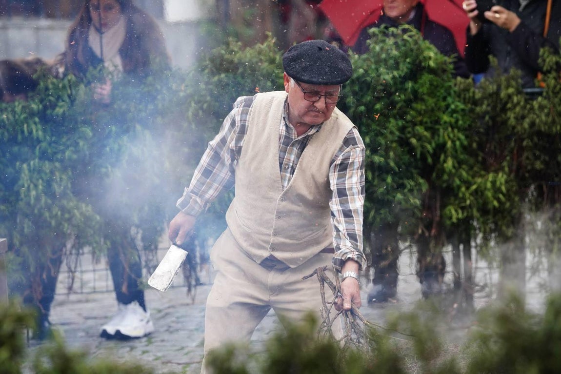 La Fiesta de la Matanza en Alcaracejos, en imágenes