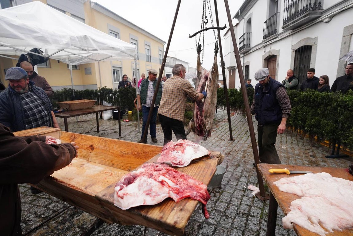 La Fiesta de la Matanza en Alcaracejos, en imágenes