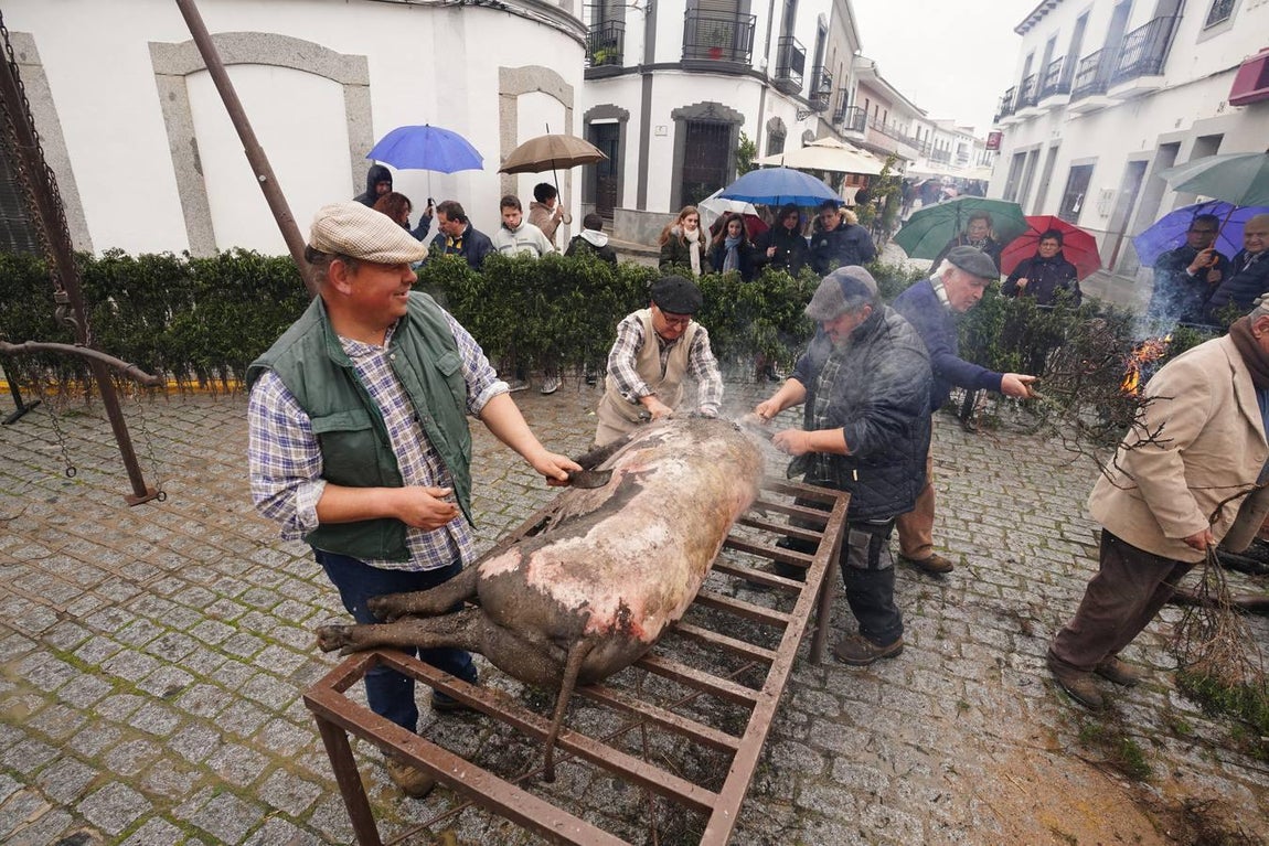 La Fiesta de la Matanza en Alcaracejos, en imágenes