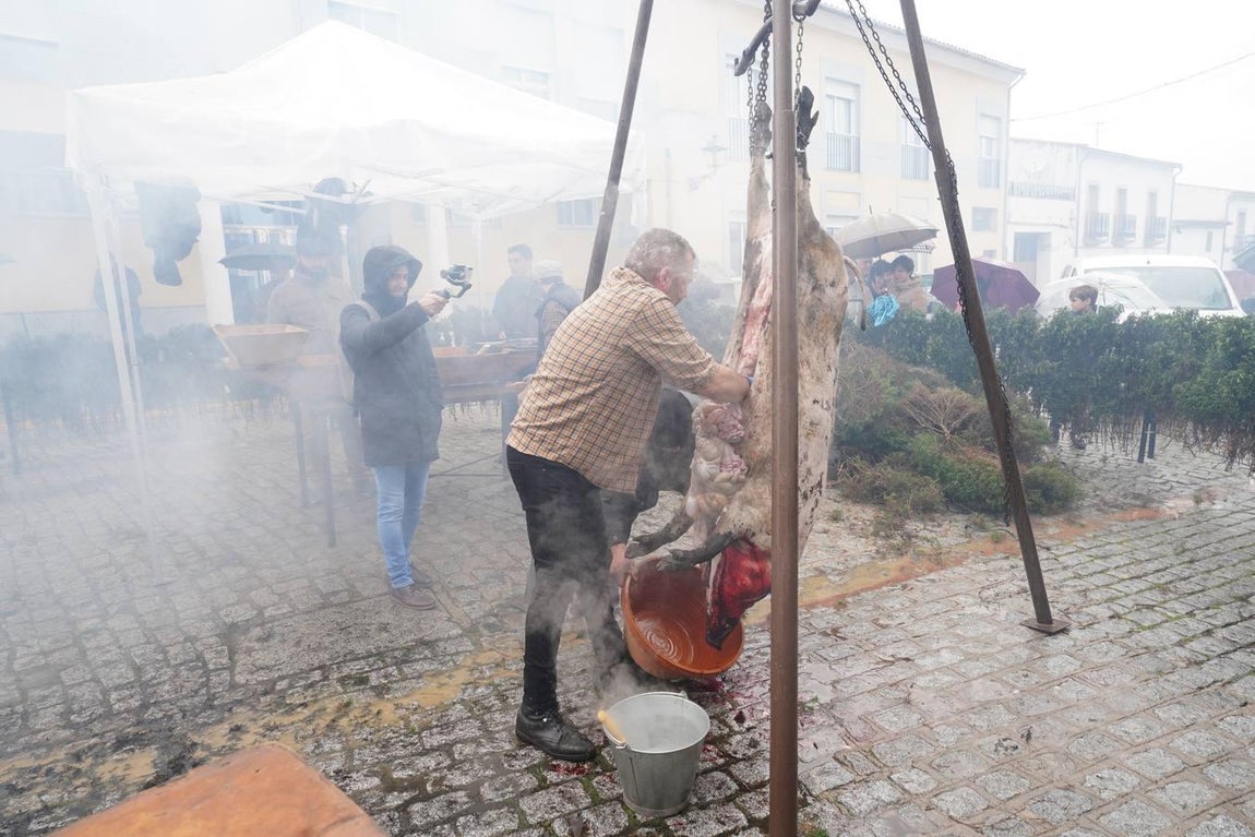 La Fiesta de la Matanza en Alcaracejos, en imágenes