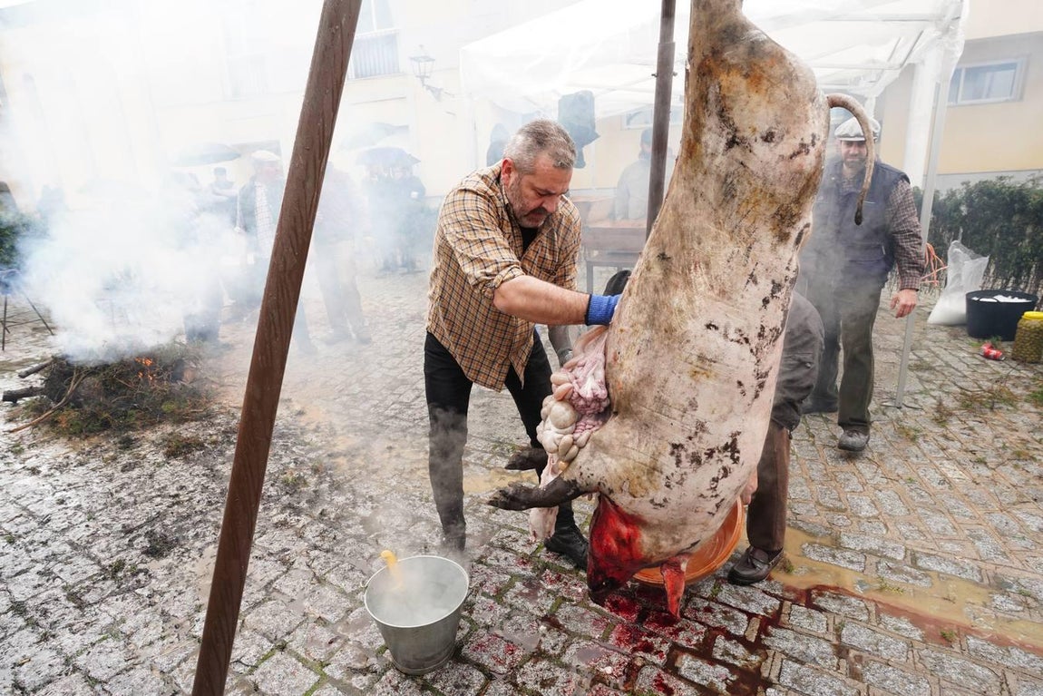 La Fiesta de la Matanza en Alcaracejos, en imágenes