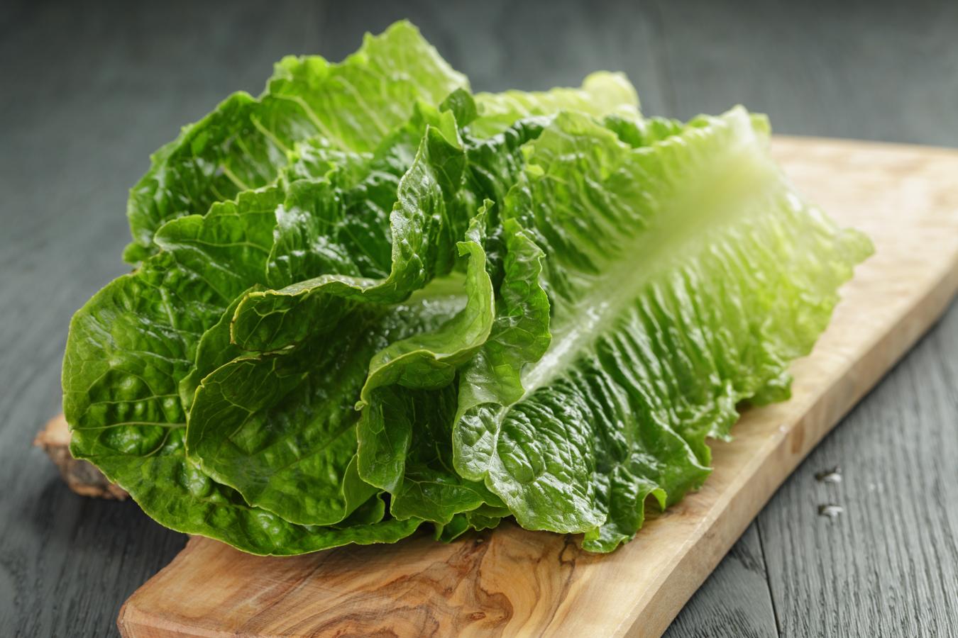 Lechuga. Se produce durante todo el año. Hay que prestar especialmente atención a las hojas: cuanto más oscuras, más nutritivas son. Tiene bajo índice de calorías y un efecto saciante que sirve como dieta adelgazante, además de un 34,7% de calcio por cada 100 mg, según datos de la BEDCA.