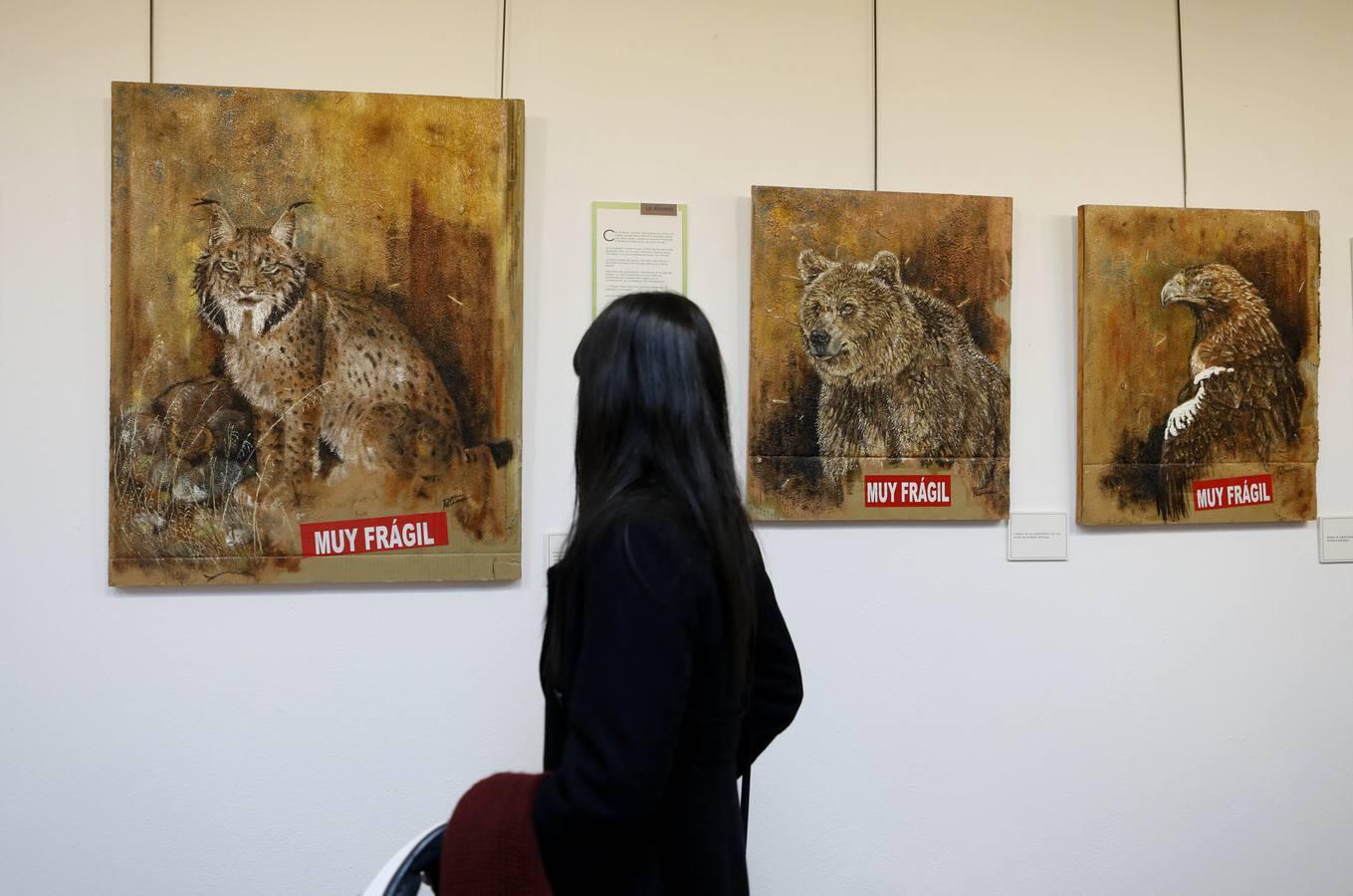 La exposición «Frágiles», en imágenes