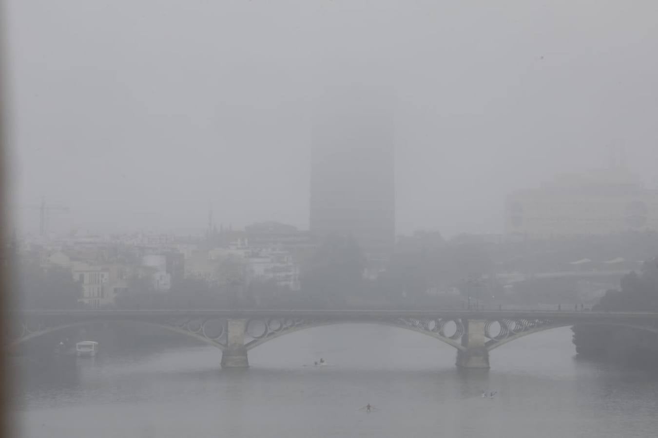 Sevilla ha despertado este lunes cubierta de una densa niebla