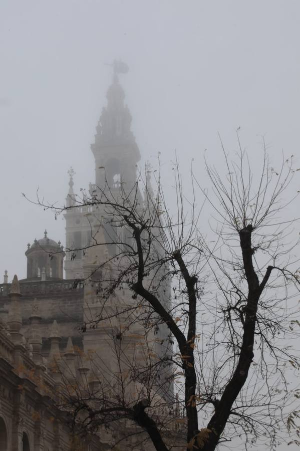 Sevilla ha despertado este lunes cubierta de una densa niebla