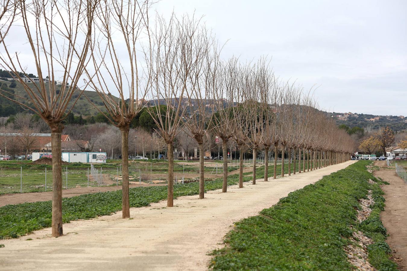 Abre la «Senda de las Moreras» en la Vega Baja de Toledo