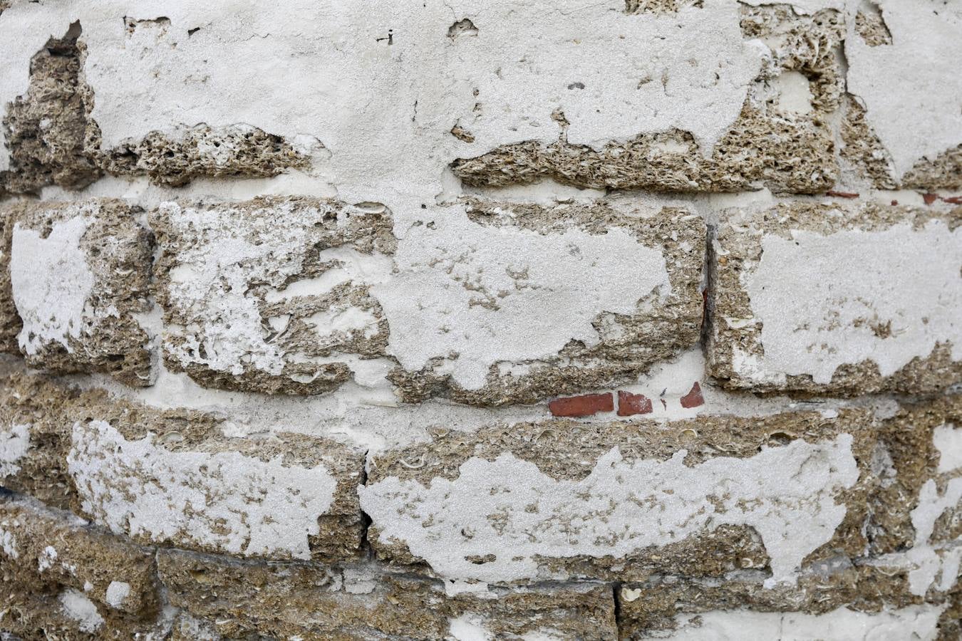 El deterioro de la iglesia de Santa Cruz