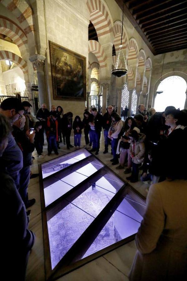 Los restos bajo la Mezquita-Catedral de Córdoba, en imágenes