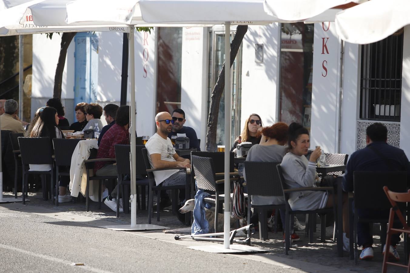 En imágenes, el calor primaveral en Córdoba en pleno febrero