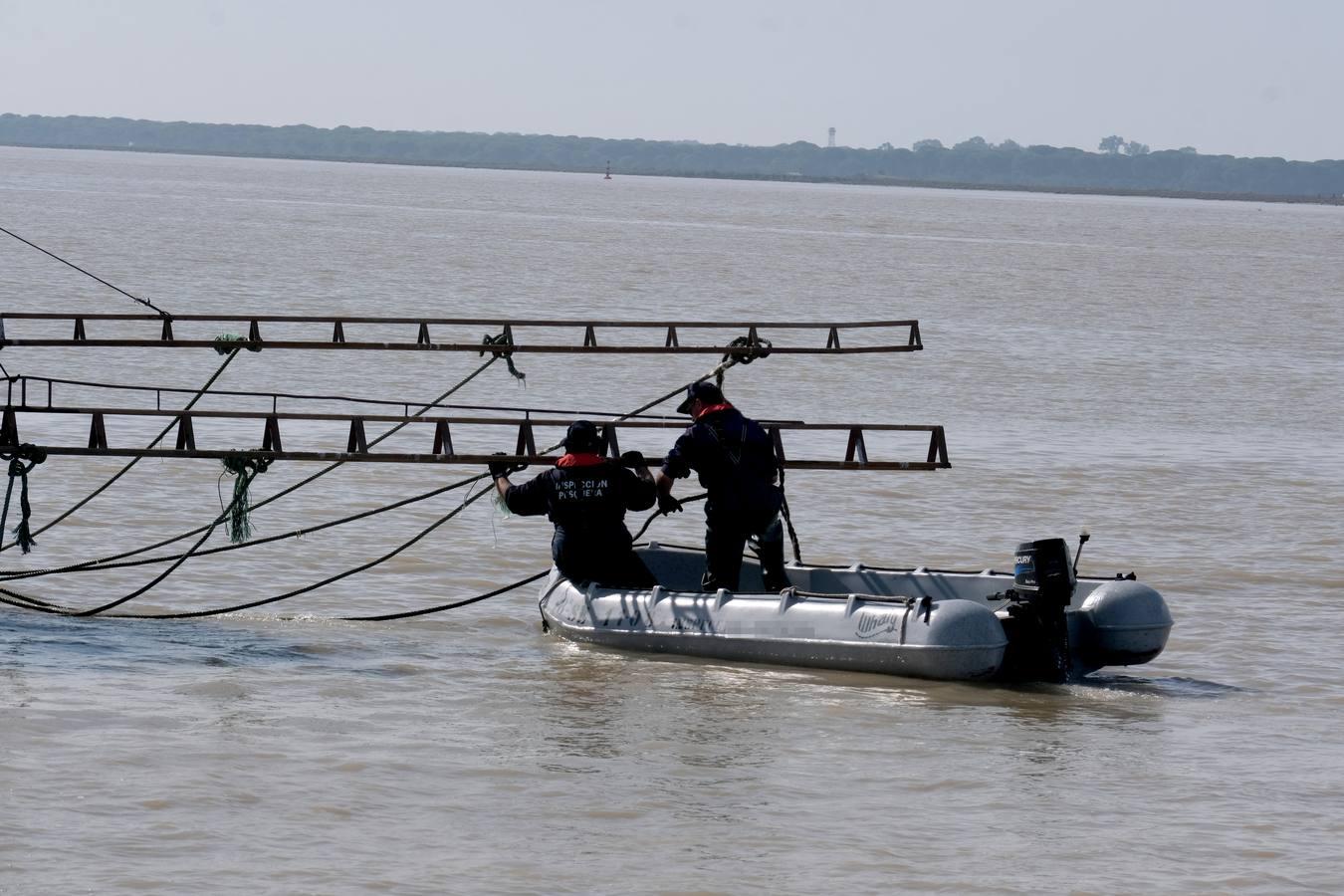 FOTOS: Golpe de la Guardia Civil a la pesca ilegal de angulas en el Guadalquivir