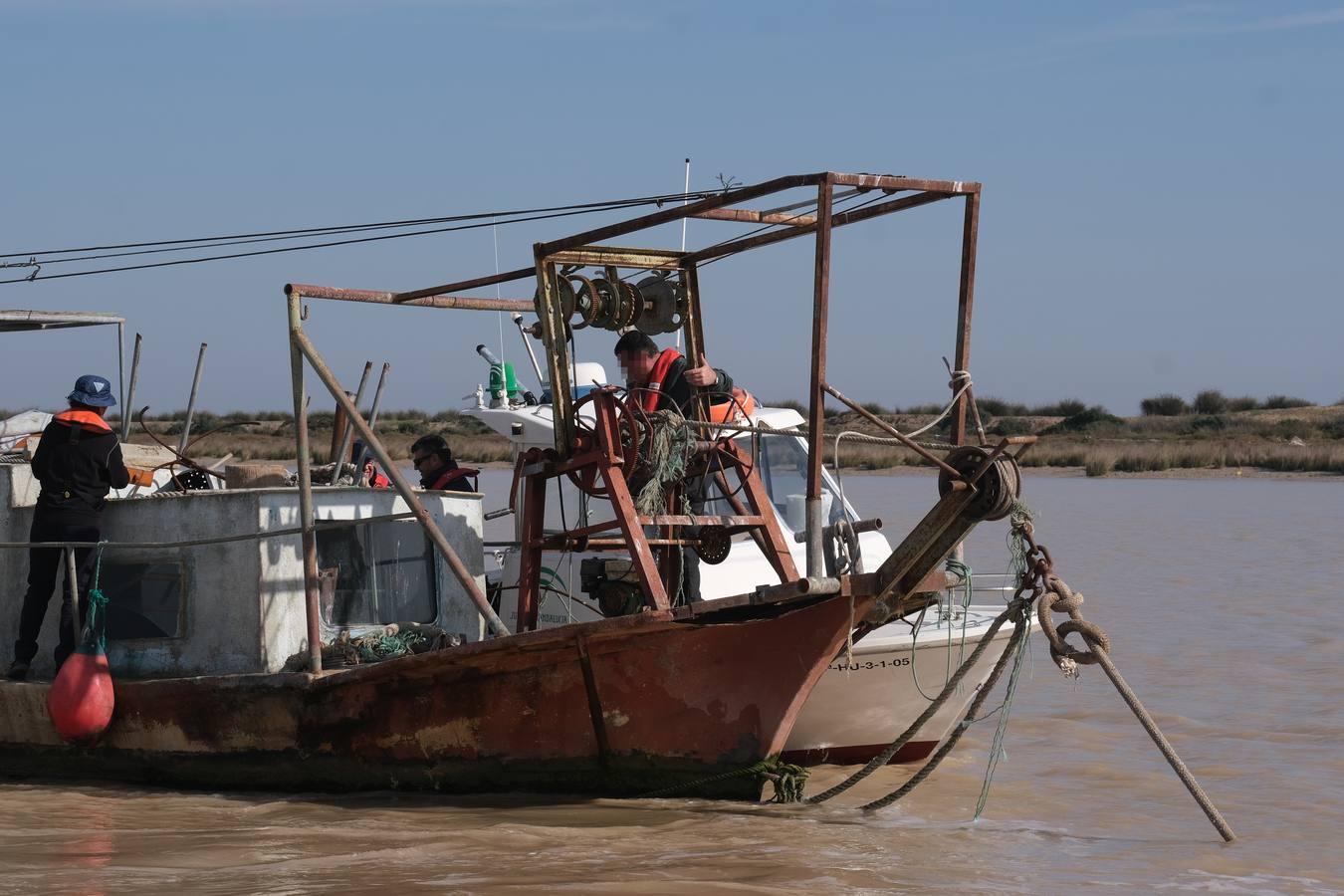 FOTOS: Golpe de la Guardia Civil a la pesca ilegal de angulas en el Guadalquivir