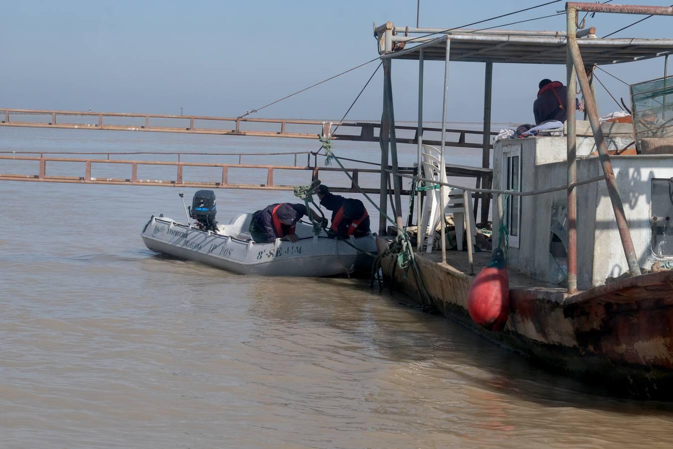 FOTOS: Golpe de la Guardia Civil a la pesca ilegal de angulas en el Guadalquivir