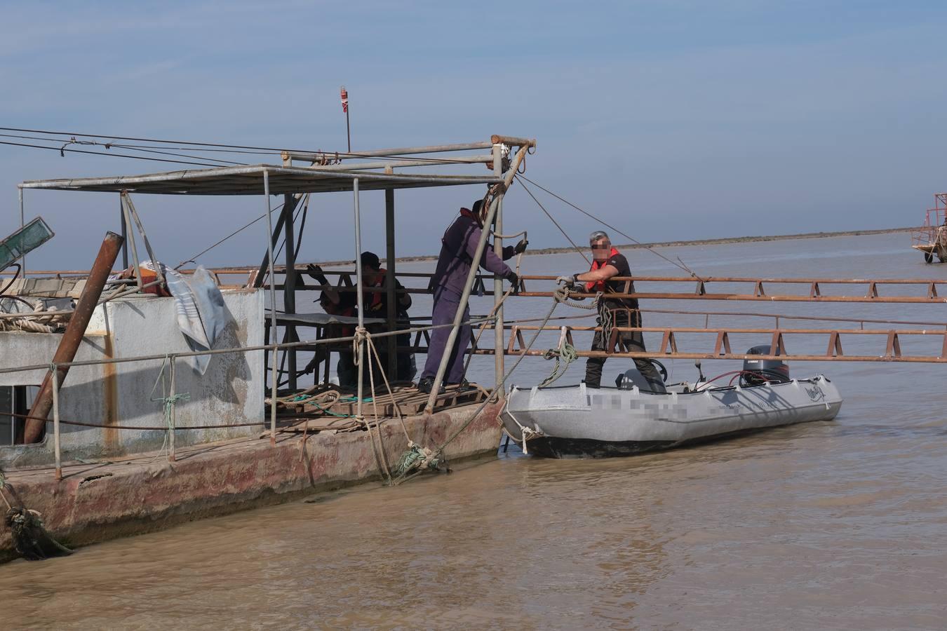 FOTOS: Golpe de la Guardia Civil a la pesca ilegal de angulas en el Guadalquivir