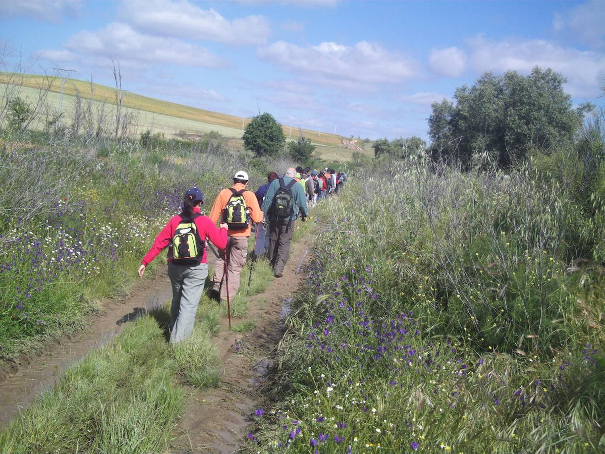 El Camino Mozárabe de Córdoba, en imágenes