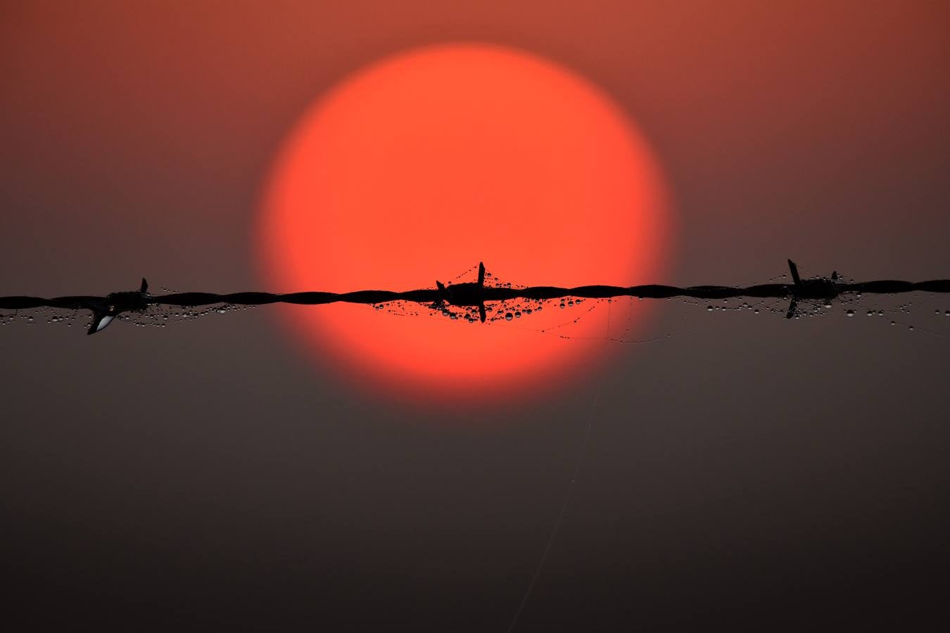 Impresionantes imágenes del corazón de Doñana