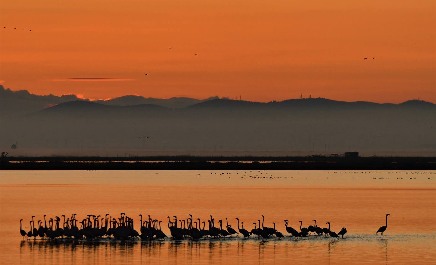 Impresionantes imágenes del corazón de Doñana