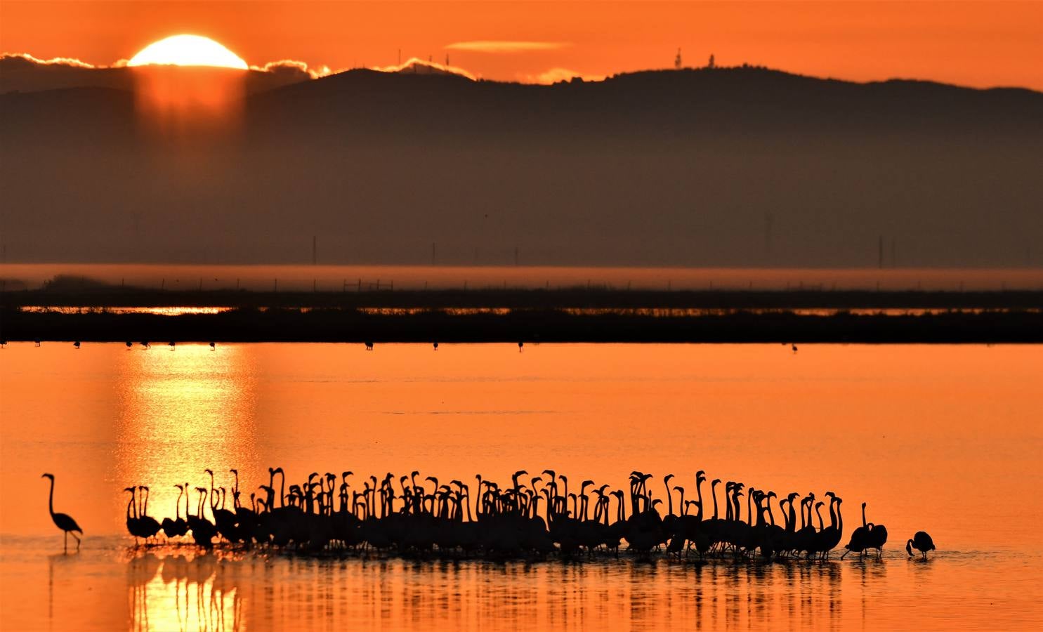 Impresionantes imágenes del corazón de Doñana