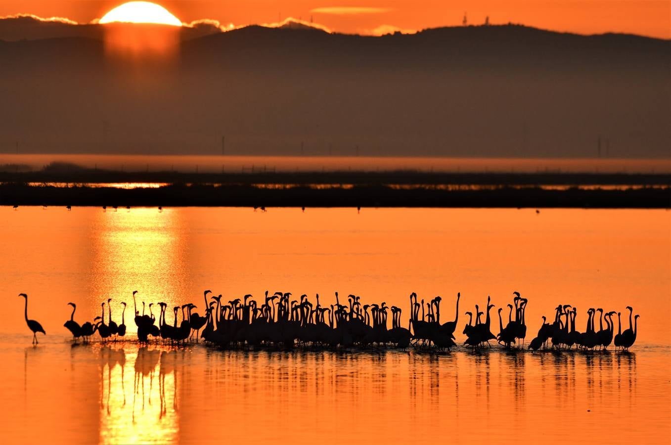 Impresionantes imágenes del corazón de Doñana