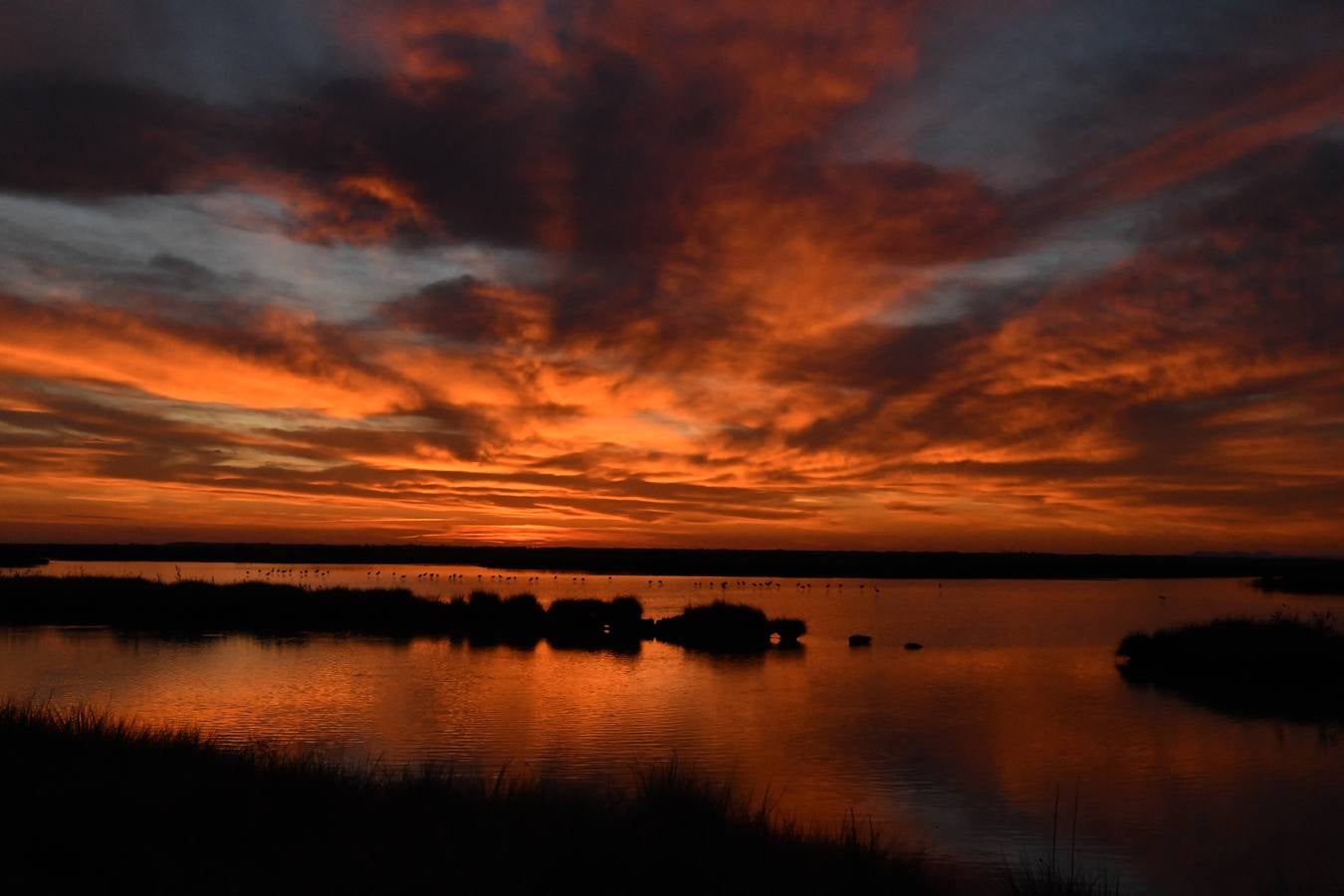 Impresionantes imágenes del corazón de Doñana