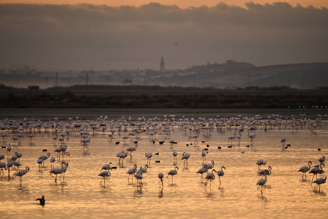Impresionantes imágenes del corazón de Doñana