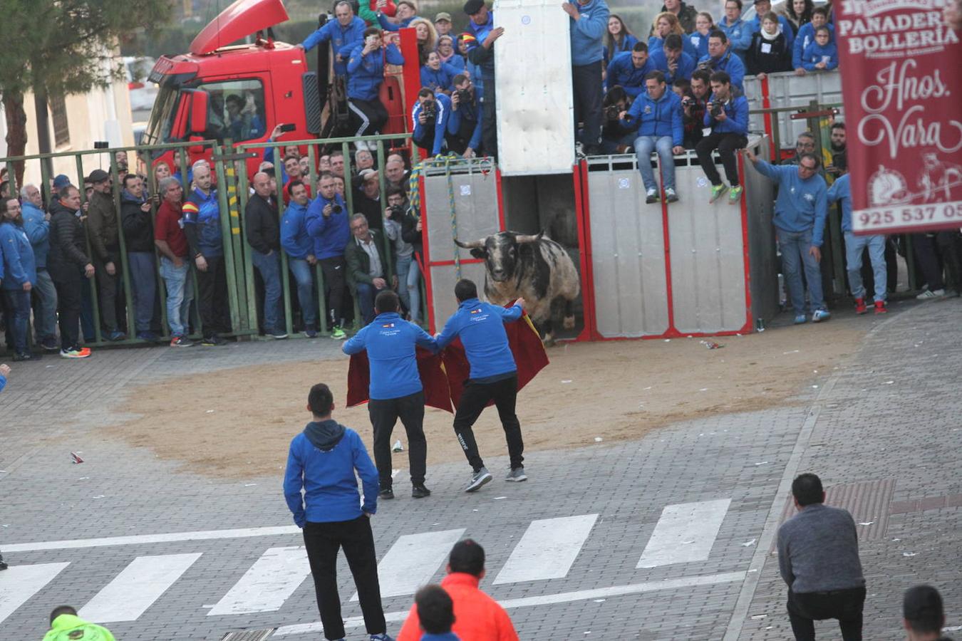 El toro enmaromado de San Blas