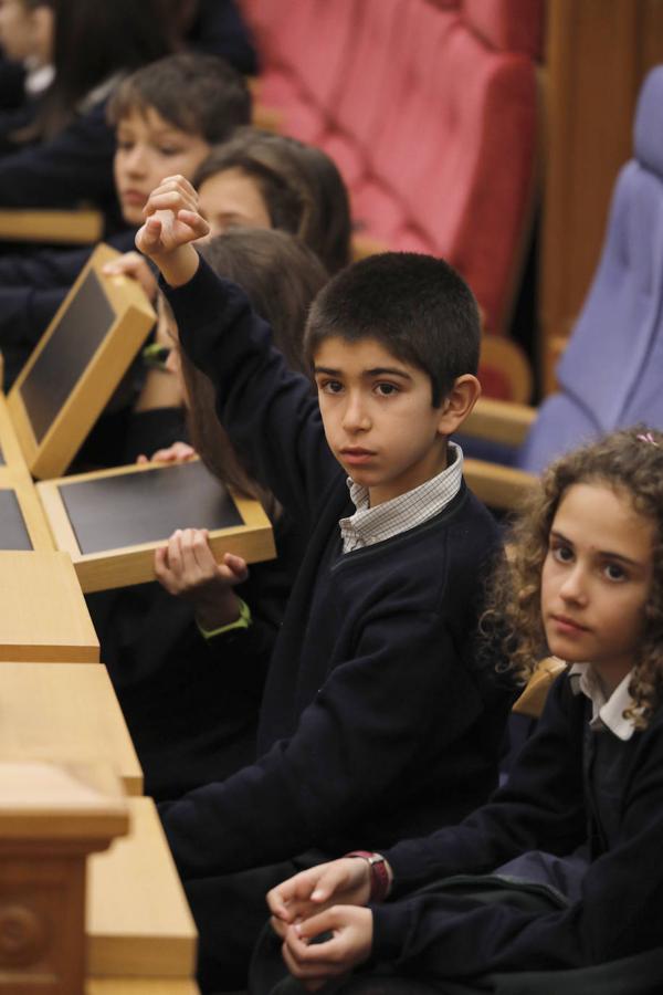 En imágenes: los alumnos del colegio San Patricio toman la palabra en las Cortes