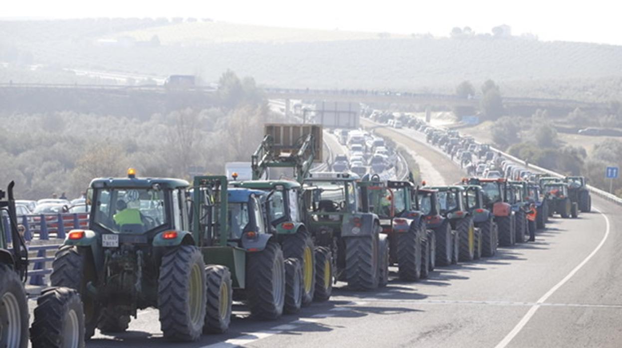 La marcha de agricultores y ganaderos en Lucena, en imágenes (I)