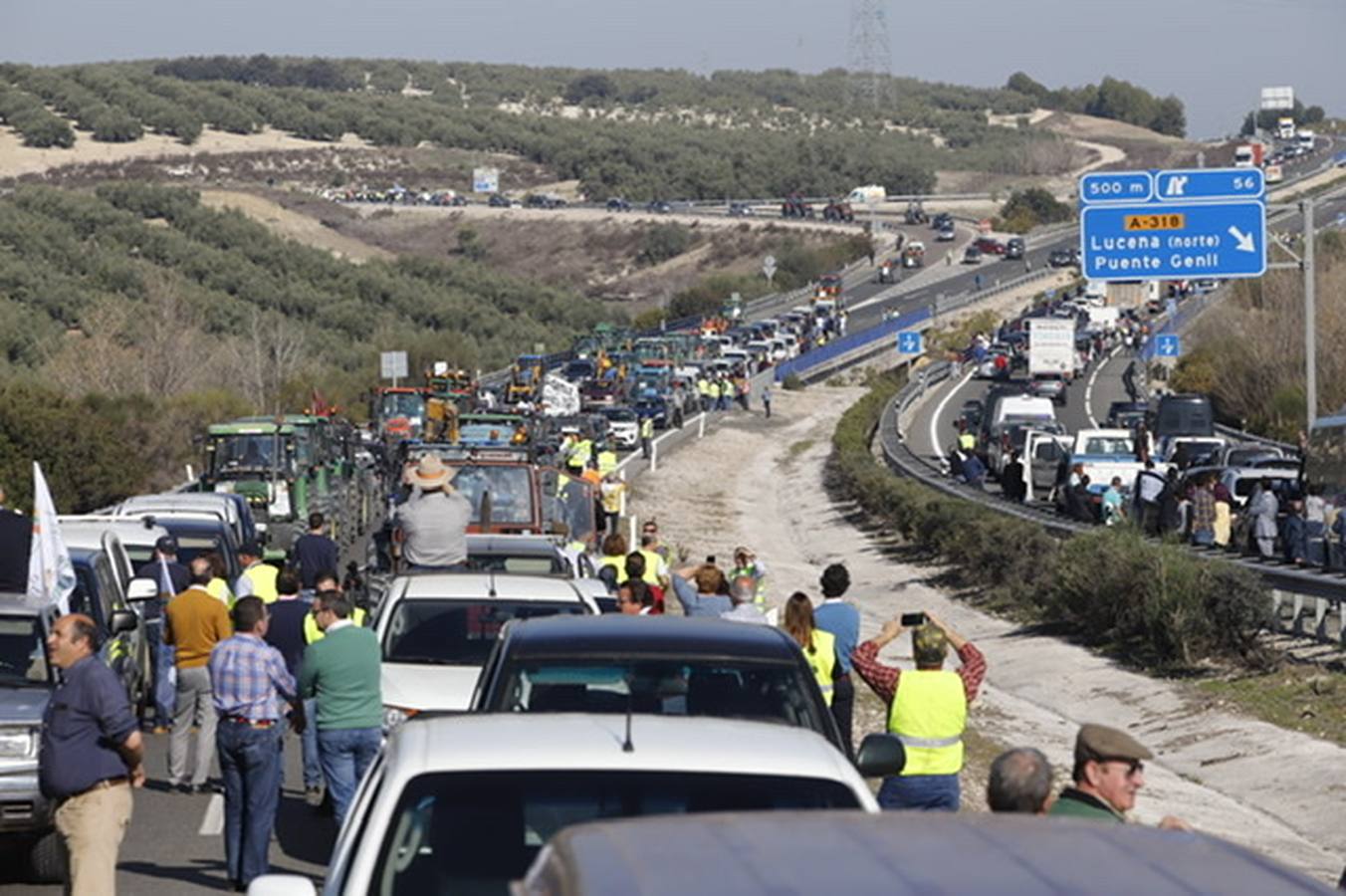 La marcha de agricultores y ganaderos en Lucena, en imágenes (I)